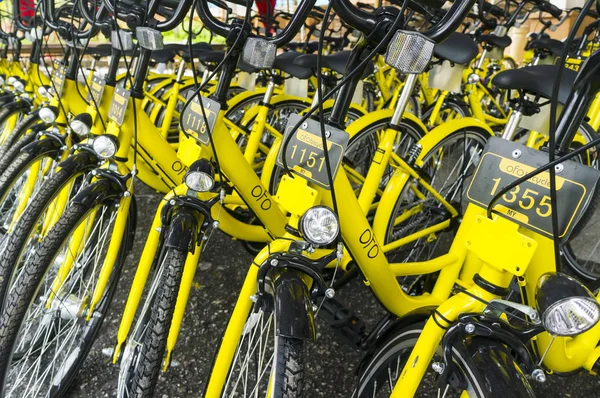 Ofo Bisiklet yakın çekim