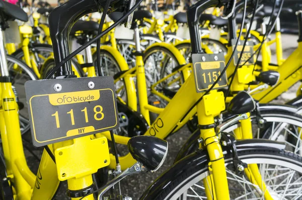 Ofo Bisiklet yakın çekim