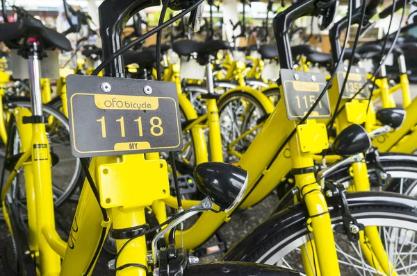 Ofo Bisiklet yakın çekim