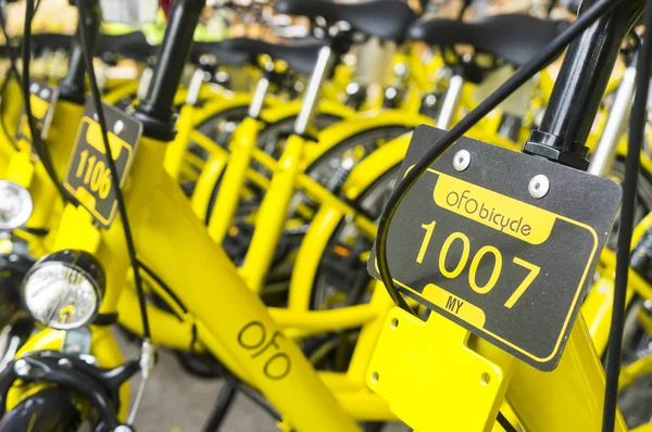 Ofo Bisiklet yakın çekim