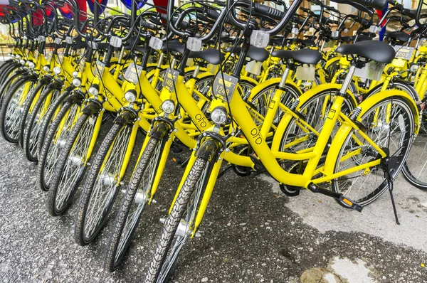 Ofo Bisiklet yakın çekim