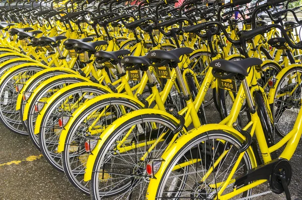 Ofo Bisiklet yakın çekim