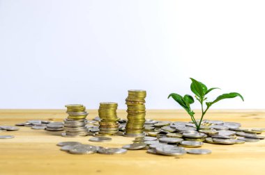 Para büyütme kavramı