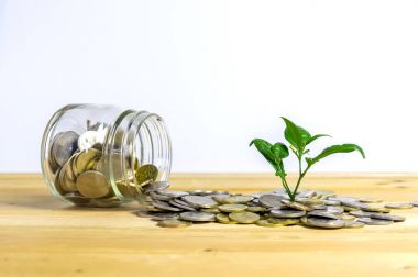 Para büyütme kavramı