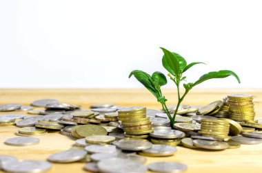 Para büyütme kavramı