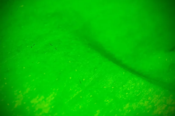 天然绿叶背景纹理 Dof 去焦和晕影效果 — 图库照片