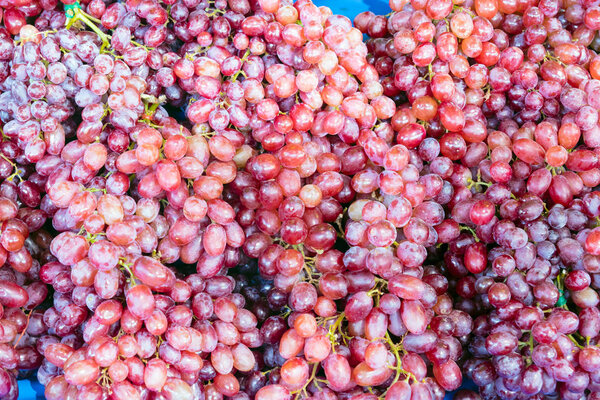 pile of fresh grape fruit for background