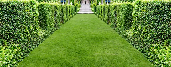 Mooie groene gras walkway voor achtergrond — Stockfoto