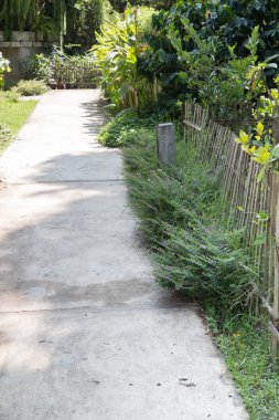 Yol boyunca yeşil bir Bahçe