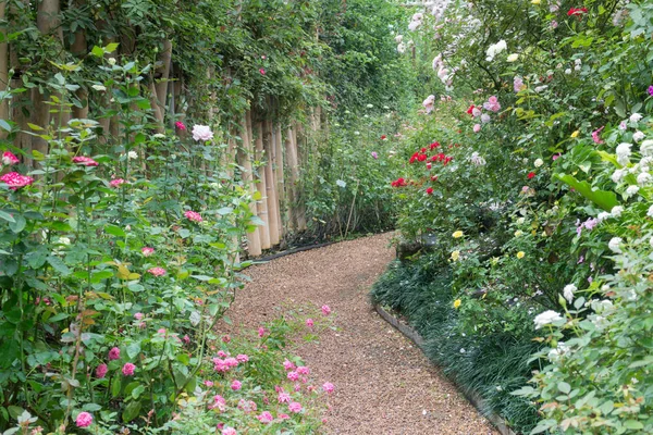 Διάδρομος στον βοτανικό κήπο με τριανταφυλλιές — Φωτογραφία Αρχείου