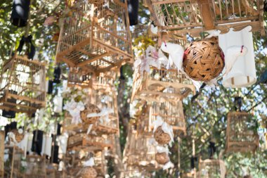 Onların kafes cansız kavramı, stok fotoğraf dışında beyaz kuşlar