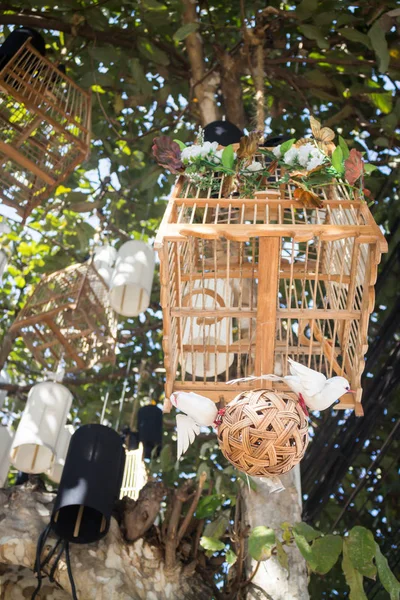 Oiseaux blancs hors de leurs cages concept sans vie, photo de stock — Photo