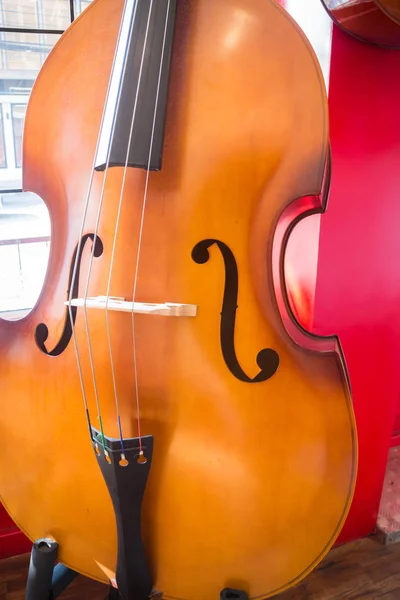 Orchestra per violino strumento musicale nel negozio — Foto Stock