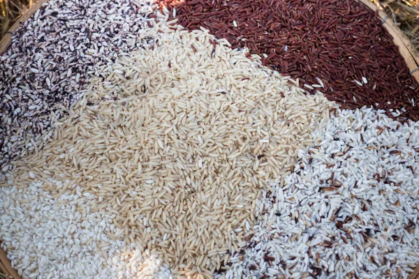 Tayland pirinç kahverengi pirinç, karışık yabani pirinç, beyaz pirinç çeşitleri — Stok fotoğraf