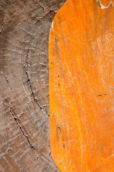 Fondo texturizado de superficie de madera dura —  Fotos de Stock