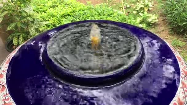 Water Jar Decorated Garden Ornament — Stock Video