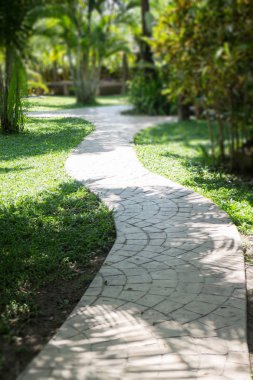 Yaz aylarında yeşil bahçe yolu