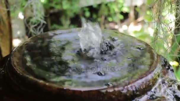 Jardín casero decorado con tarro de fuente de agua — Vídeos de Stock