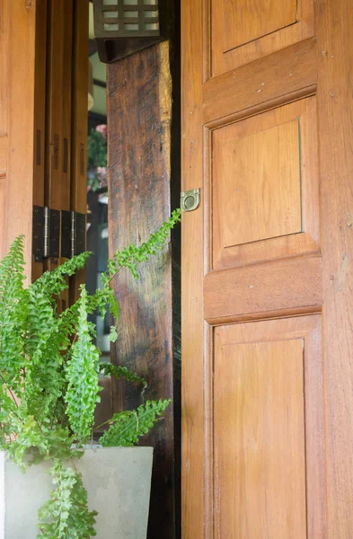 Зовнішні дерев'яні двері і заводський горщик — стокове фото