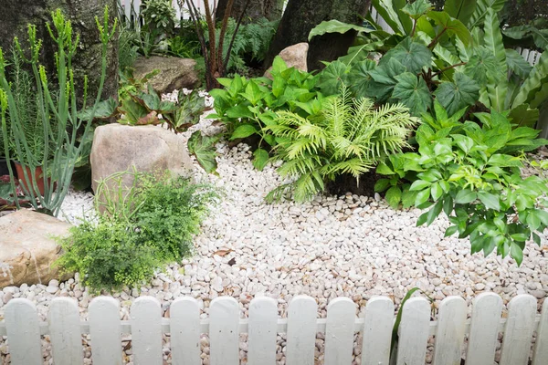 Зеленый сад дома — стоковое фото