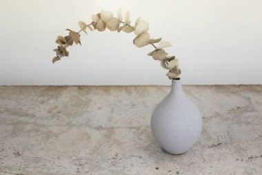 Okaliptüs yaprakları vazo içinde kurutulmuş