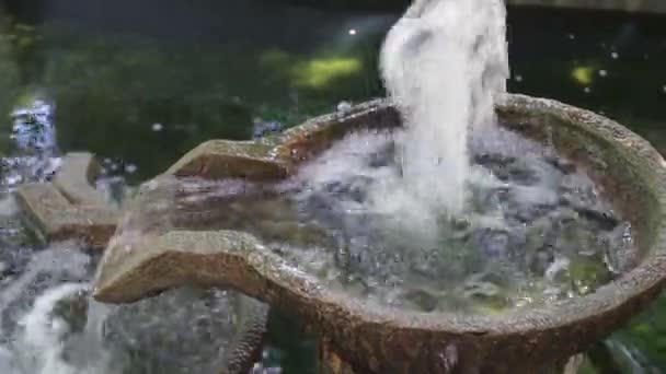 Water fall cray bowl decorated in the garden pond — Stock Video