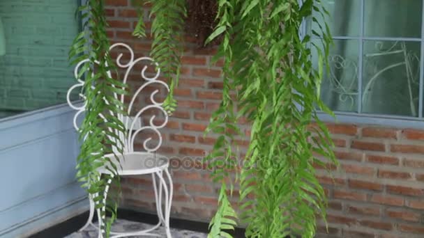 Beautiful corner in coffee shop garden — Stock Video
