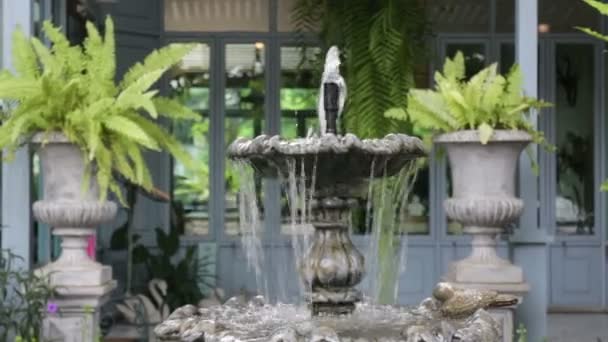 Vintage fountain in coffee shop garden — Stock Video