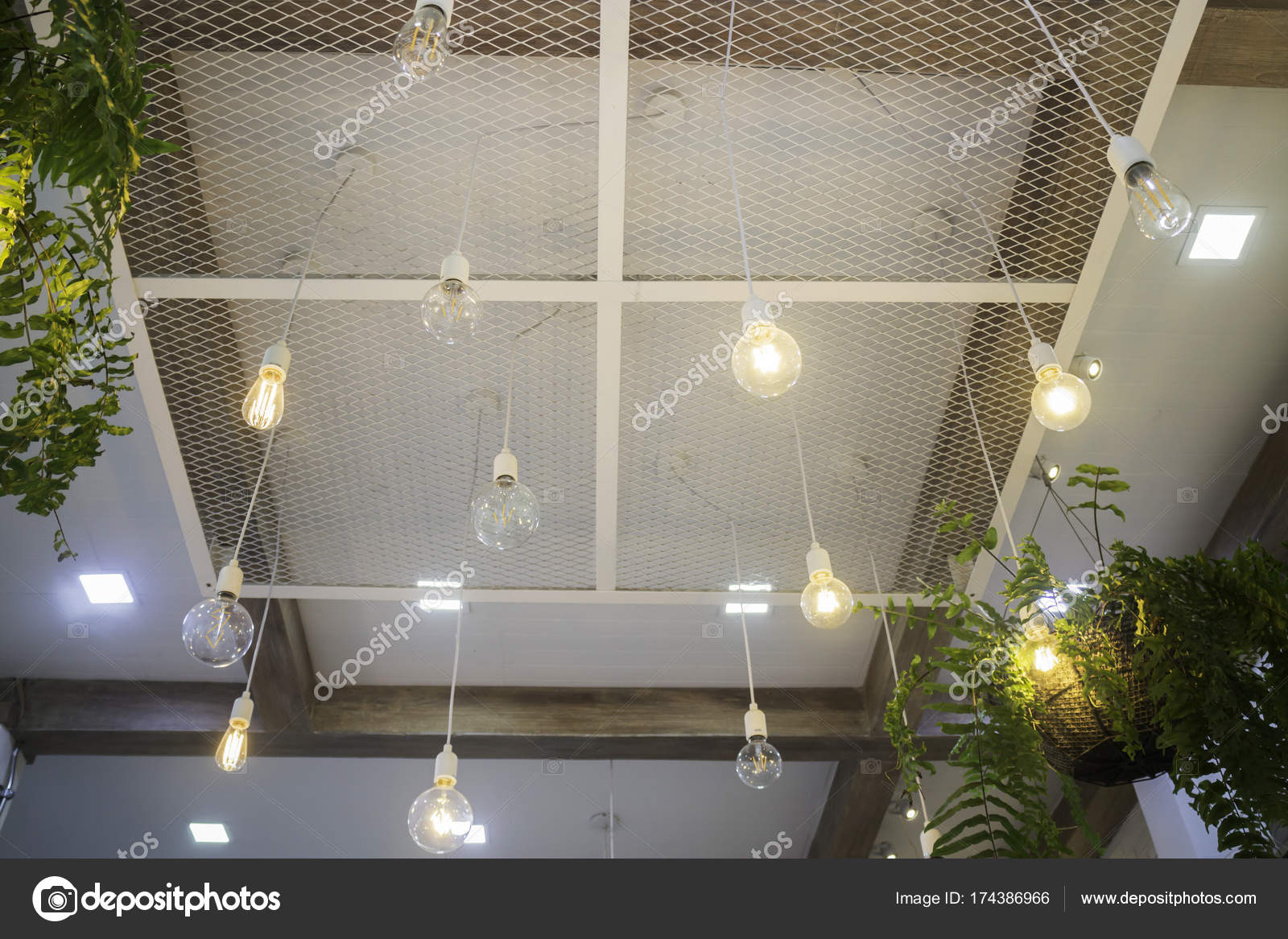 Fern In Plant Pot Hanging On Ceiling Stock Photo