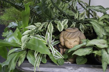 Yeşil görünümü kapalı ev Bahçe