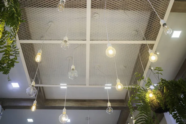 천장에 매달려 식물 냄비에 양 치 — 스톡 사진