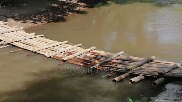 Bambusbrücke Über Den Bach Archivvideo — Stockvideo