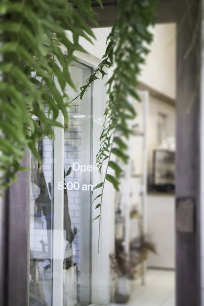 Green plant decorated on shop door — Stock Photo, Image