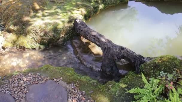 最小的水小河在家庭庭院 股票录影 — 图库视频影像