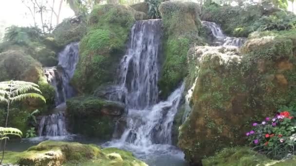 Prachtige Waterval Groene Tuin Voorraad Video — Stockvideo