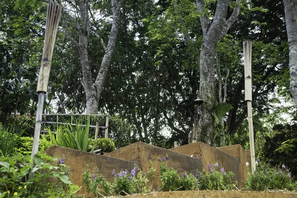 Stufe aus braunem Stein mit grüner Bepflanzung neben dem Gehweg — Stockfoto