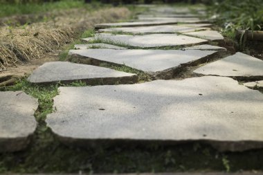 Gri açık beton yüzey çatlamak