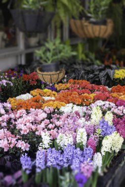 Çömlek fabrikası pazarı