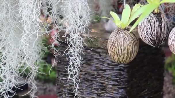 Ornamento Jardim Casa Com Água Fluindo Imagens Estoque — Vídeo de Stock