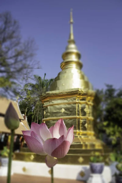 Thailändsk buddhistisk offentligt tempel med god miljö — Stockfoto