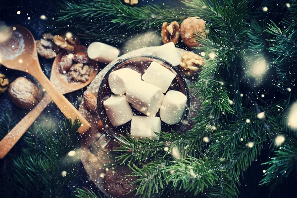 Boże Narodzenie czekolada Hot Zefir orzechy gałąź jodła — Zdjęcie stockowe