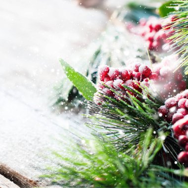 Christmas dalları kar kaplı