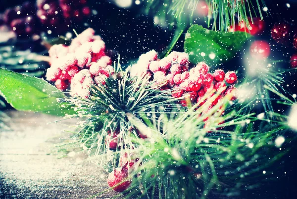 Різдвяні гілки покривали сніг малювання снігопад — стокове фото