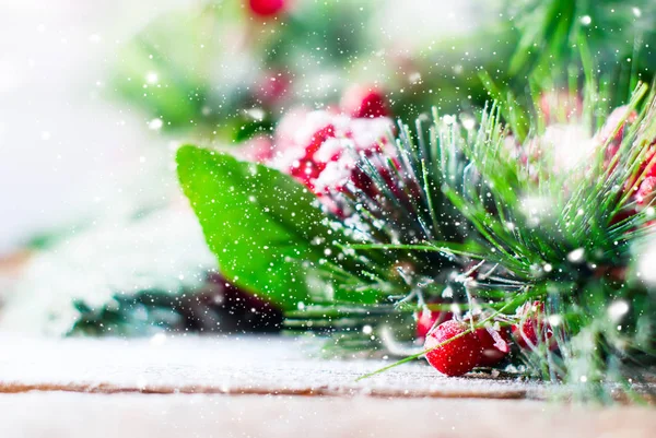 Christmas Branches Covered Snow — Stock Photo, Image