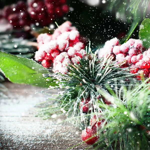 Kerst takken bedekt sneeuw Stockfoto