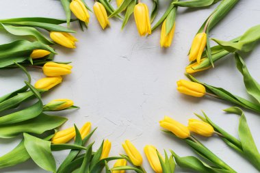 Sarı bahar Lale botanik sanat yuvarlak çerçeve