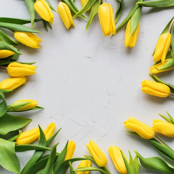 Žlutá jarní tulipány botanické umění kolo rám — Stock fotografie
