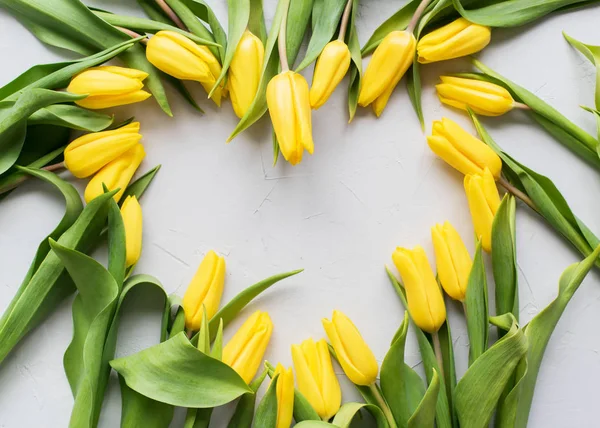 Heart Frame Yellow Spring Tulips Botanical Art — Stock Photo, Image