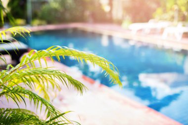 Güzel Yüzme Havuzu tropikal Resort mevsimlik