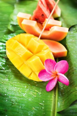 Mango suyu kavun Papaya kavun meyve tropikal